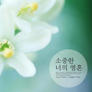 Listen to Your precious soul song with lyrics from Cure Piano