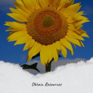 Various的专辑Obtain Resources
