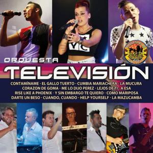 收聽Orquesta Televisión的Para Recordar: Cuando, Cuando / Help Yourself / Estando Contigo歌詞歌曲