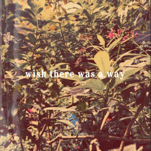 Facile的專輯wish there was a way