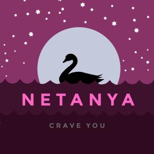 收聽netanya的Swan Lake歌詞歌曲