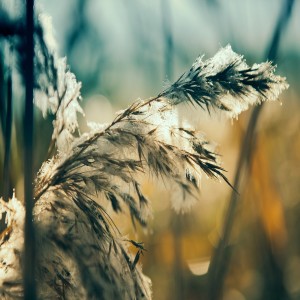 收聽음악치료사的사색(감성 피아노)歌詞歌曲