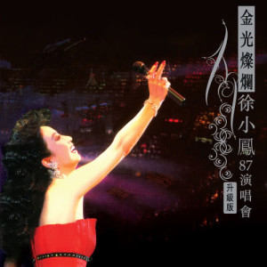 ดาวน์โหลดและฟังเพลง Liu Xia Yan Lei Qian (Live) พร้อมเนื้อเพลงจาก 徐小凤