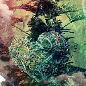 收聽Smooth_904的I gotta have me (Explicit)歌詞歌曲