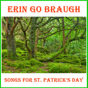 อัลบัม Erin Go Braugh ศิลปิน Irish Music Experts