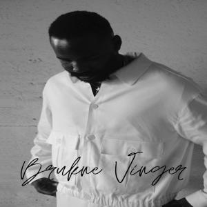 อัลบัม BRUKNE VINGER (Explicit) ศิลปิน Michael Augustin