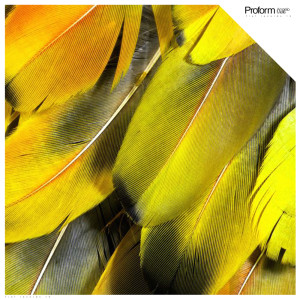 ดาวน์โหลดและฟังเพลง Proform พร้อมเนื้อเพลงจาก Angelo Mele