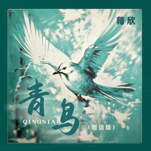 Album 青鸟(粤语版) from 师欣
