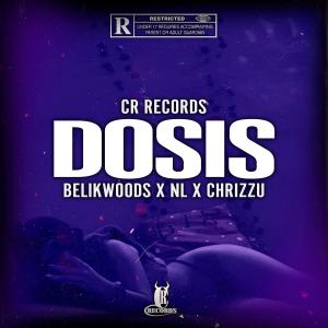 收聽CR Records的DOSIS (feat. BelikWoods, NL & Chrizzu)歌詞歌曲