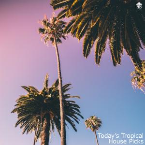 Listen to Aurora (feat. T.R.) song with lyrics from Janji