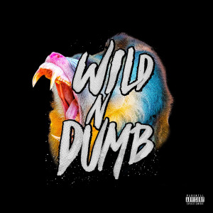 ดาวน์โหลดและฟังเพลง Wild n Dumb (Explicit) พร้อมเนื้อเพลงจาก Reeko Squeeze