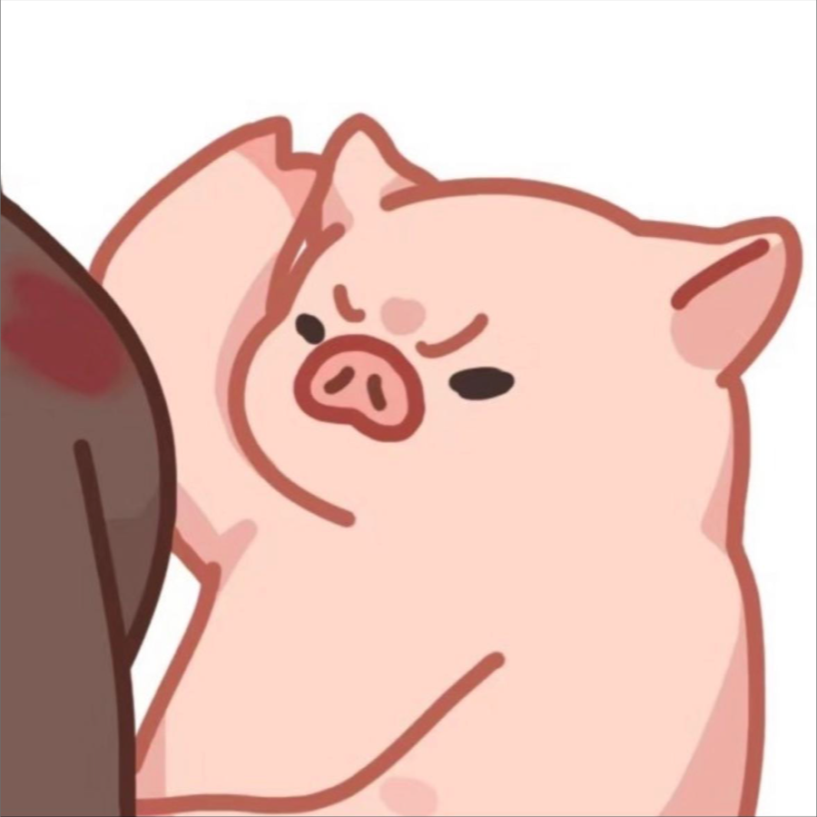 素林Surin