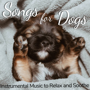 Listen to Ultimate Relaxation song with lyrics from Relaxmydog