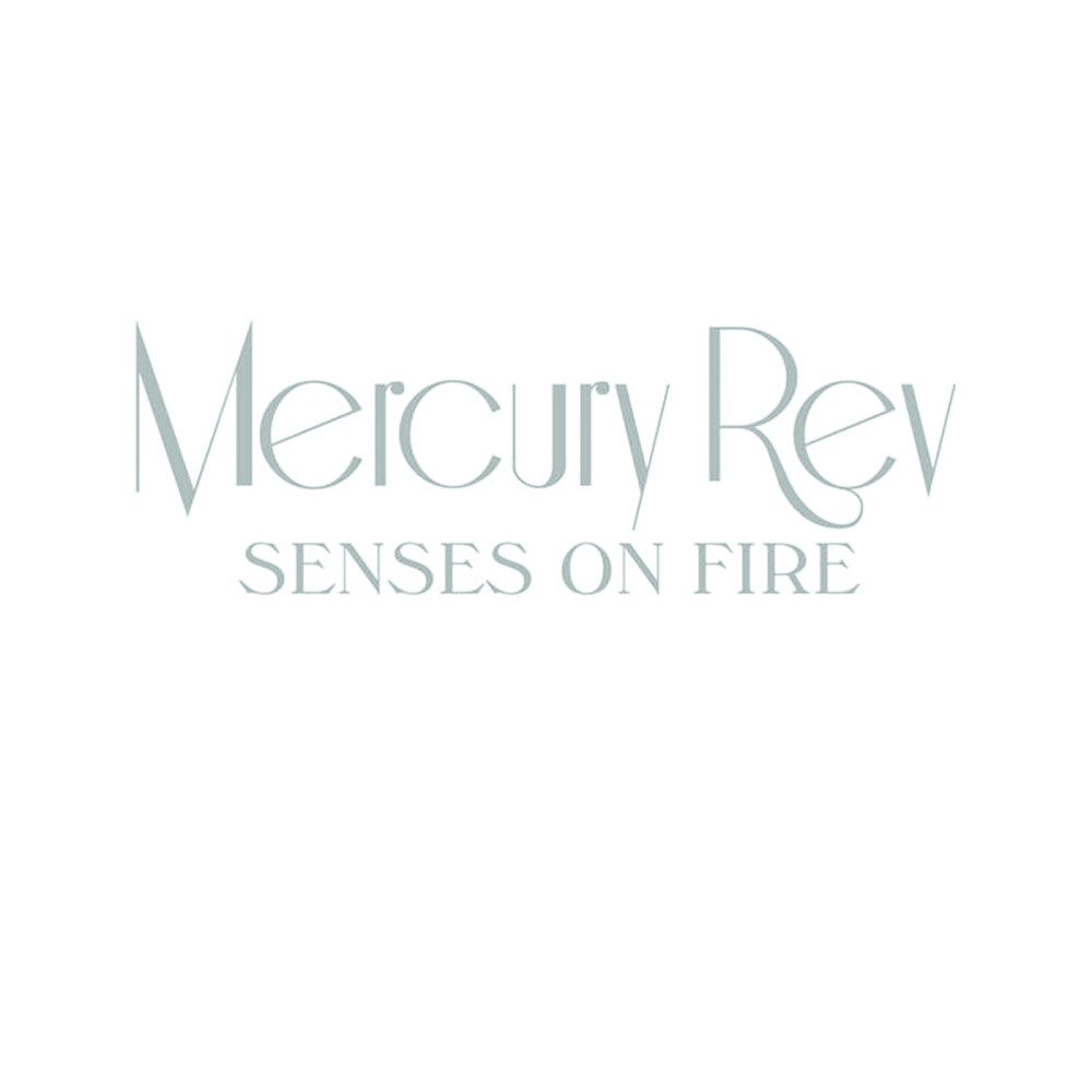 Senses On Fire (James Holden Remix)
