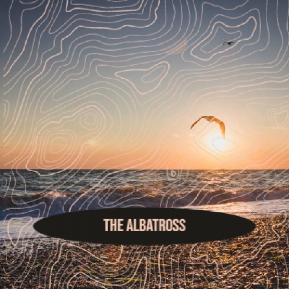 The Albatross