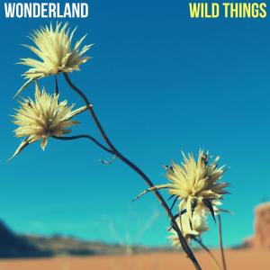 Wonderland的专辑Wild Things