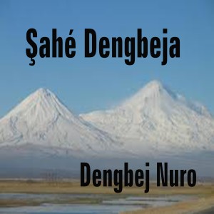 收聽Dengbej Nûro的Tarğan歌詞歌曲