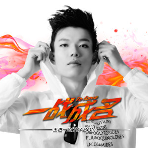 Listen to Party Rap Star song with lyrics from 王进一