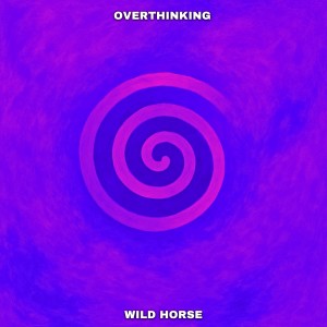 Listen to Read My Mind (Vibes Song) (Explicit) song with lyrics from Wild Horse
