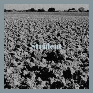 Album Strident from 