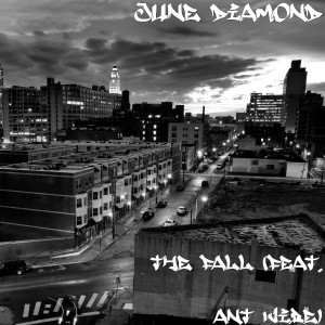 Album The Fall (feat. Ant Vibe) from June Diamond