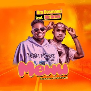 Listen to Mewu song with lyrics from Bra Desmond