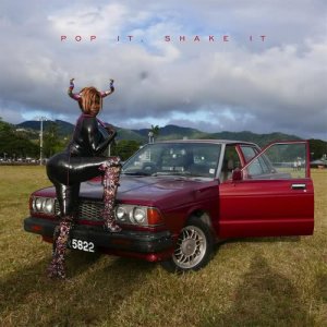 收聽YG的Pop It, Shake It歌詞歌曲