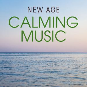 Various Artists的專輯Calming Music: New Age