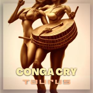 Taurus的專輯Conga Cry (Original Mix)