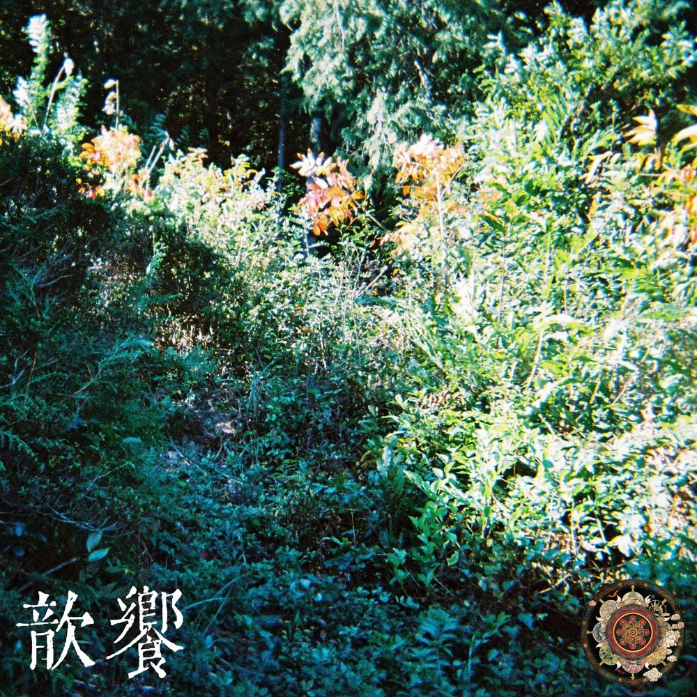 Shade (Lullaby Instrumental Version)