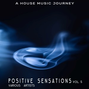 Album Positive Sensations, Vol. 5 from Various