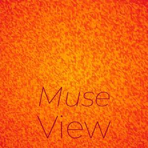 Muse View dari Various