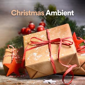 Listen to Sounds for Sleep 5 song with lyrics from Musica Para Estudiar Academy