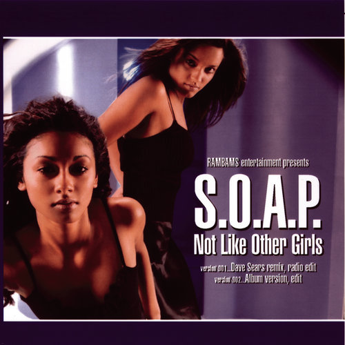 Not Like Other Girls (Dave Sears Extended Remix)