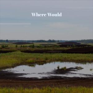 Listen to Wish Whomsoever song with lyrics from Loay Wens