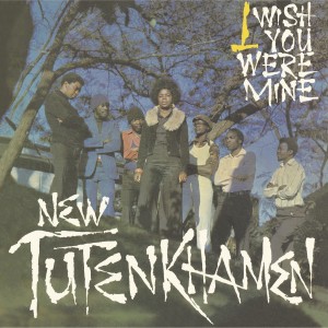 อัลบัม I Wish You Were Mine ศิลปิน New Tutenkhamen