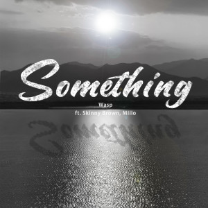 收听Wasp的Something (Feat. Skinny Brown, MIllO)歌词歌曲
