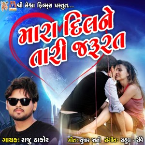 Album Mara Dil Ne Tari Jarurat from Raju Thakor