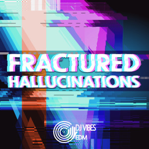 Album Fractured Hallucinations from Dj Vibes EDM