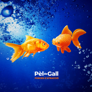 ดาวน์โหลดและฟังเพลง Terra i sal พร้อมเนื้อเพลงจาก Pèl de Gall