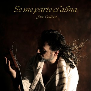 ดาวน์โหลดและฟังเพลง Se me parte el alma พร้อมเนื้อเพลงจาก José Gálvez