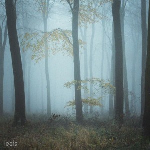 Listen to Leafs song with lyrics from Shuaneri