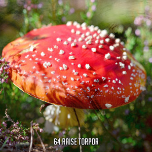 Rest & Relax Nature Sounds Artists的专辑64 Raise Torpor