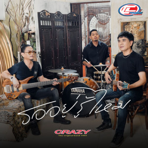 Listen to รออยู่รู้ไหม song with lyrics from Crazy