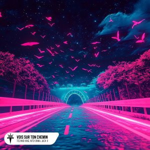 อัลบัม Vois sur ton chemin (Hypertechno) ศิลปิน Nito-Onna