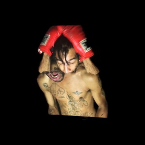 Album Pop Song 2 & 1 from Velvet Negroni