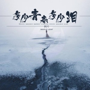 ดาวน์โหลดและฟังเพลง 多少青春多少泪 พร้อมเนื้อเพลงจาก 枫叶