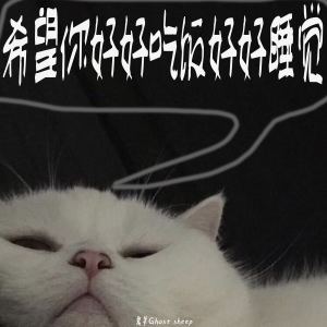 Listen to 希望你好好吃饭好好睡觉 song with lyrics from 鬼羊Ghost sheep
