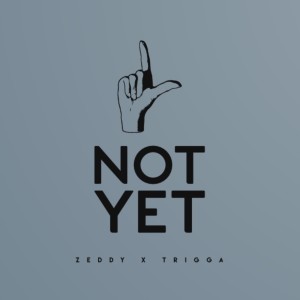 ดาวน์โหลดและฟังเพลง Not Yet (Explicit) พร้อมเนื้อเพลงจาก Zeddy