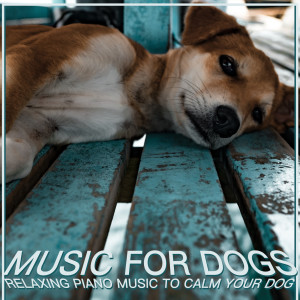 Dengarkan Puppy Extravaganza lagu dari Relaxmydog dengan lirik